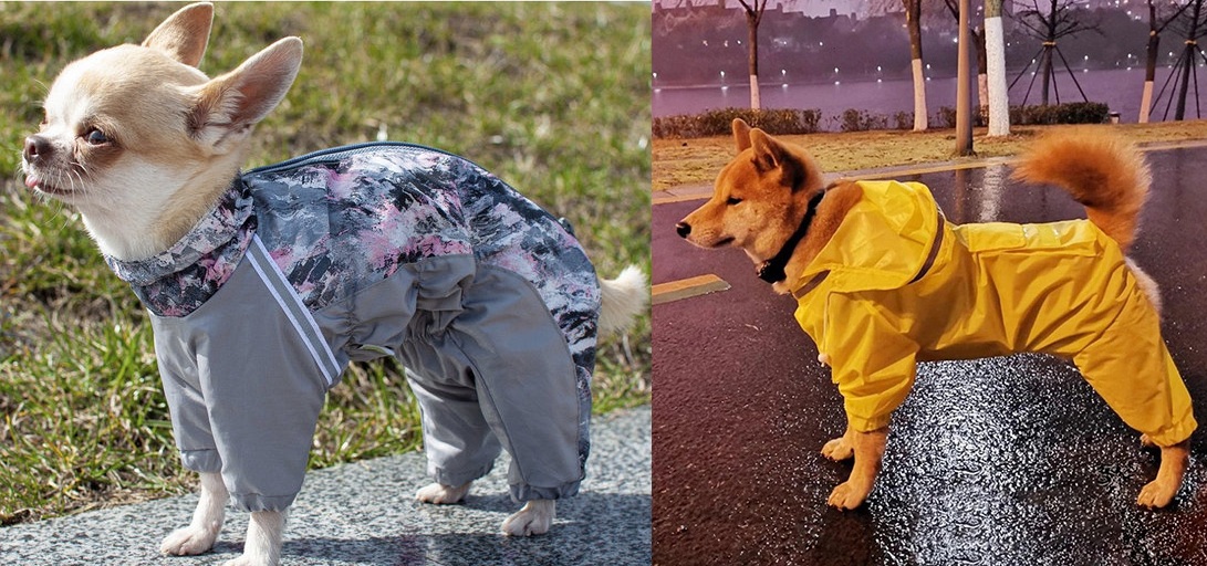 Дождевик